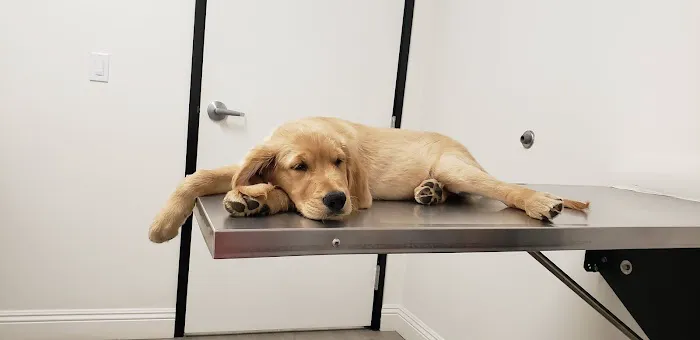 Veterinary Medical Center of Rancho Cordova Picture 7