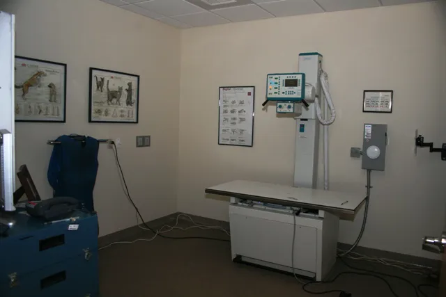 VCA Mueller Pet Medical Center Picture 8