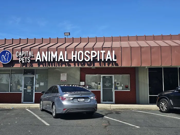Capital Pets Animal Hospital - Sacramento Picture 1