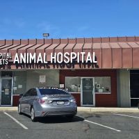 Capital Pets Animal Hospital - Sacramento ico