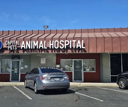 Capital Pets Animal Hospital - Sacramento