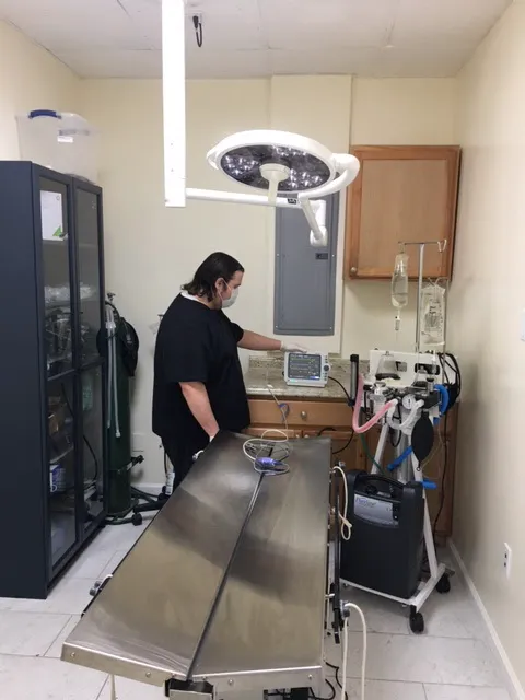 Capital Pets Animal Hospital - Sacramento Picture 2