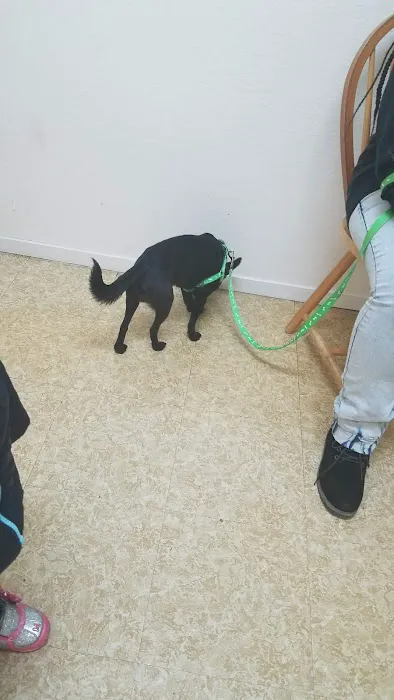 Capital Pets Animal Hospital - Sacramento Picture 6