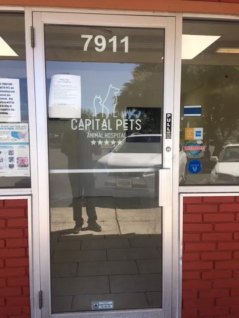 Capital Pets Animal Hospital - Sacramento Picture 4