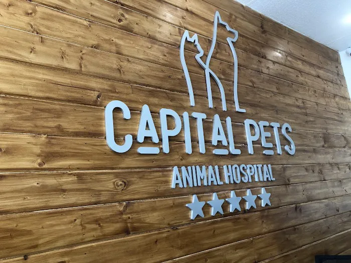 Capital Pets Animal Hospital - Sacramento Picture 10