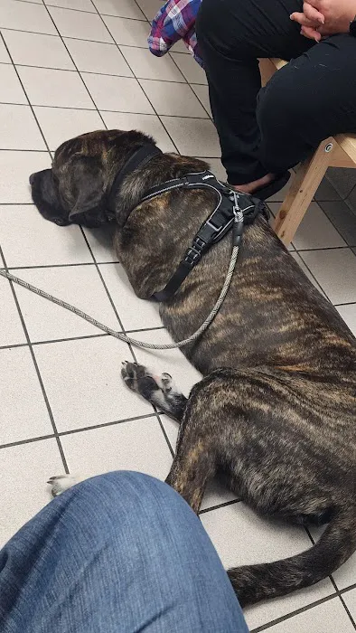 Hatton Veterinary Hospital Picture 8