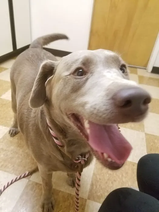 Rio Linda Veterinary Clinic Picture 3
