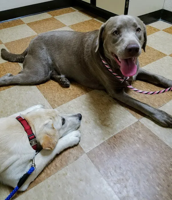 Rio Linda Veterinary Clinic Picture 6
