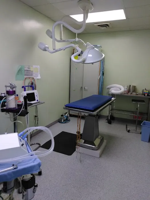 Providence Vet Picture 10