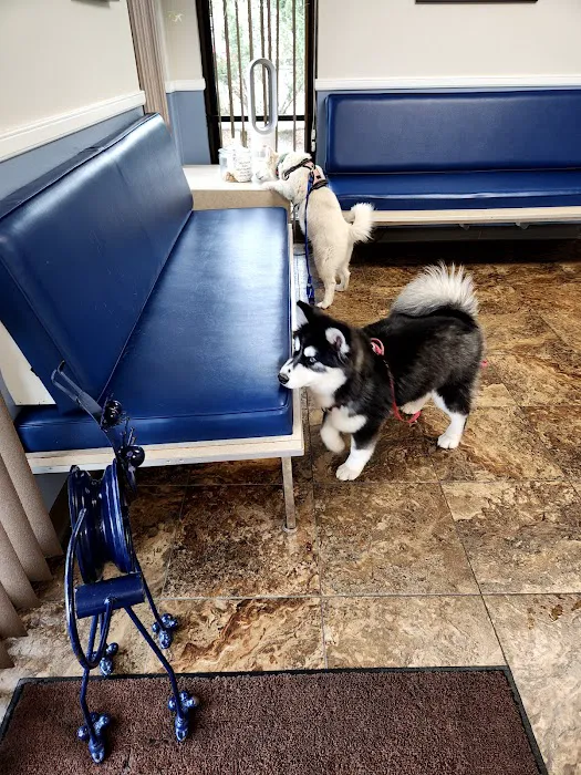 Bostic Veterinary Hospital Picture 5