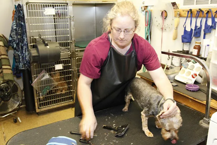 Bostic Veterinary Hospital Picture 7