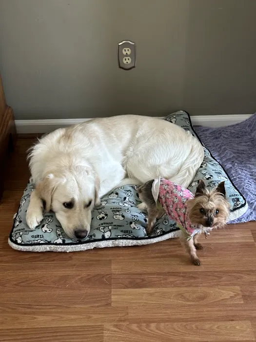 Acredale Animal Hospital Picture 2