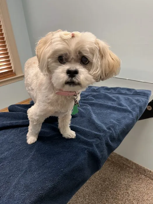 Acredale Animal Hospital Picture 4