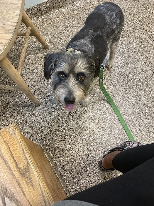 Acredale Animal Hospital Picture 5