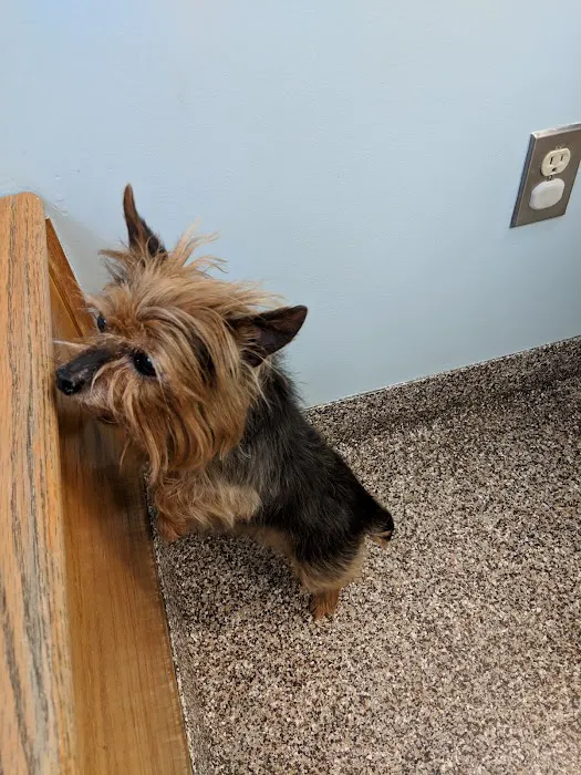 Acredale Animal Hospital Picture 7
