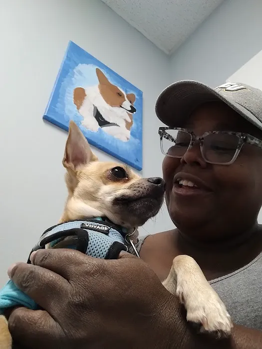 Acredale Animal Hospital Picture 10