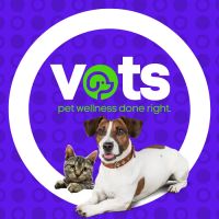 Vots ico