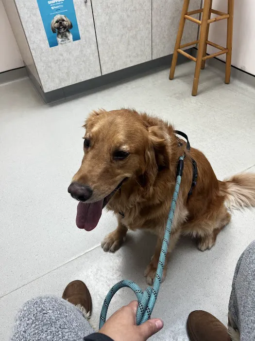 Boulevard Veterinary Hospital Picture 1