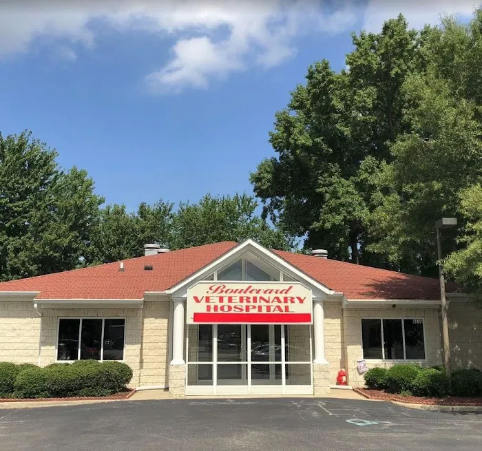 Boulevard Veterinary Hospital Picture 2