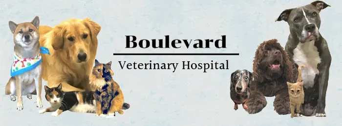 Boulevard Veterinary Hospital Picture 3