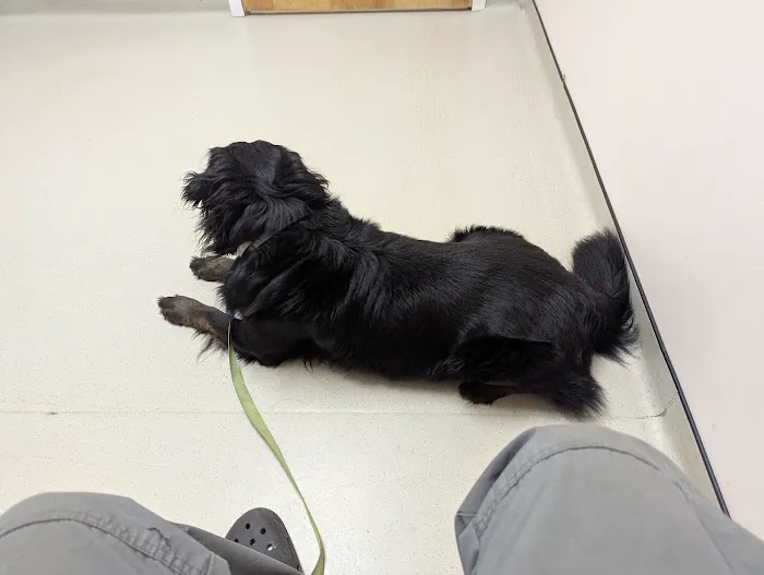 Boulevard Veterinary Hospital Picture 6
