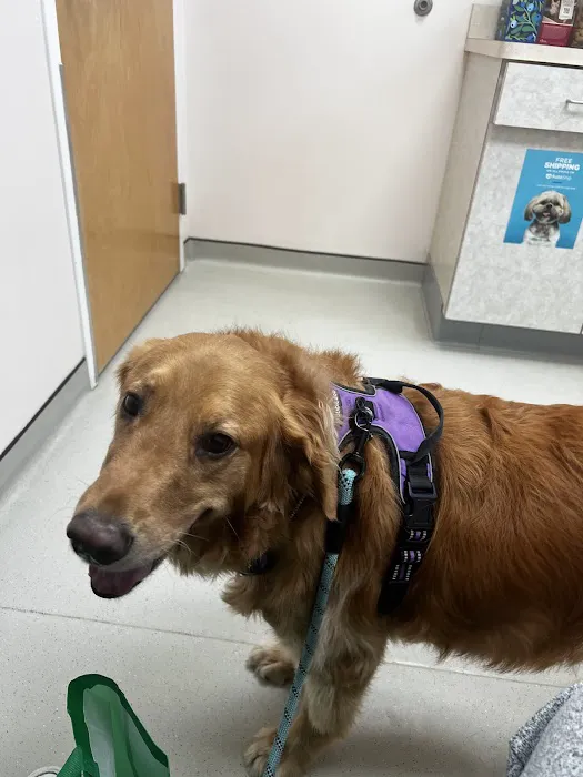 Boulevard Veterinary Hospital Picture 10