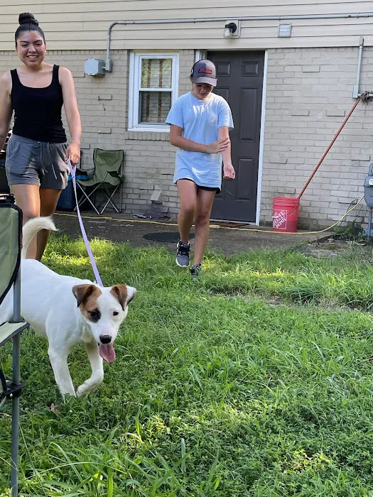 Norfolk SPCA Community Spay Neuter Clinic Picture 8