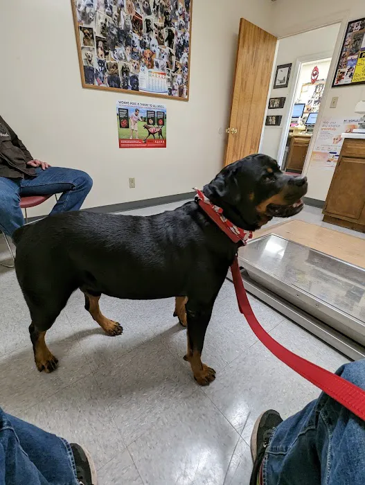 Bayview Veterinary Clinic Picture 4