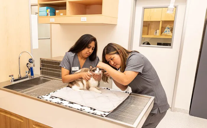 Cumulus Animal Hospital Picture 5