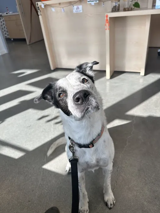 Cumulus Animal Hospital Picture 7