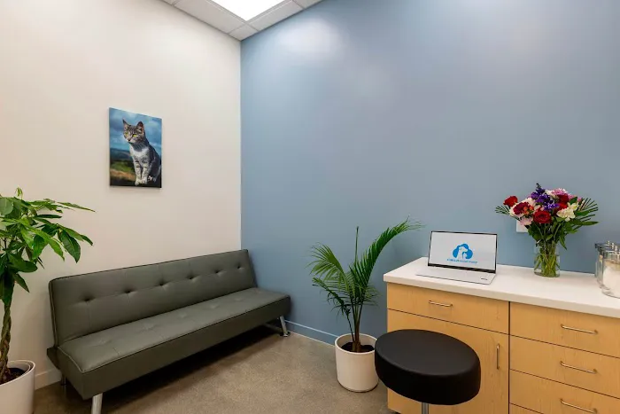 Cumulus Animal Hospital Picture 8