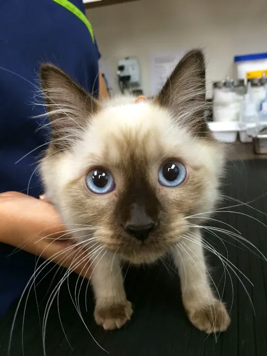 Beverly Robertson Veterinary Clinic Picture 4