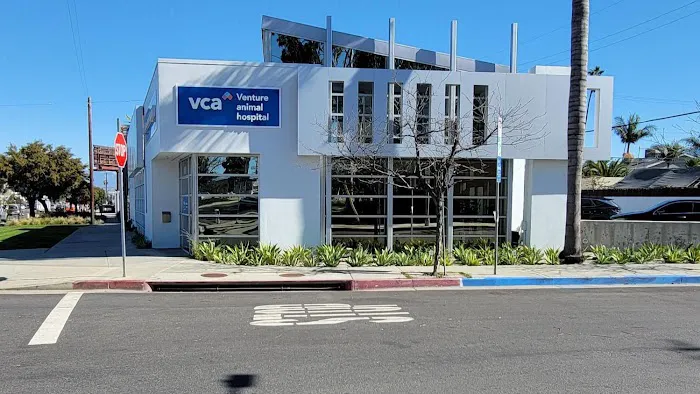 VCA Venture Animal Hospital Picture 2