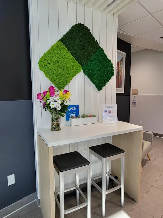VCA Venture Animal Hospital Picture 5