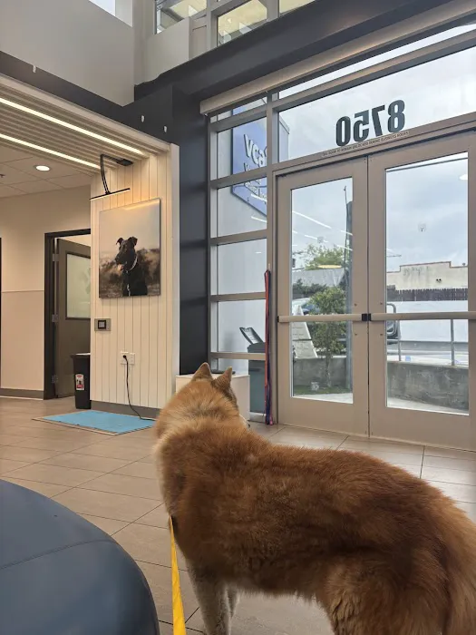 VCA Venture Animal Hospital Picture 6