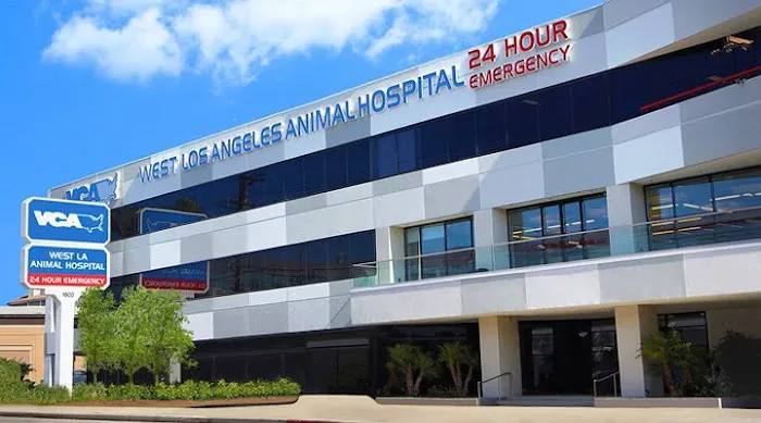 VCA Venture Animal Hospital Picture 10