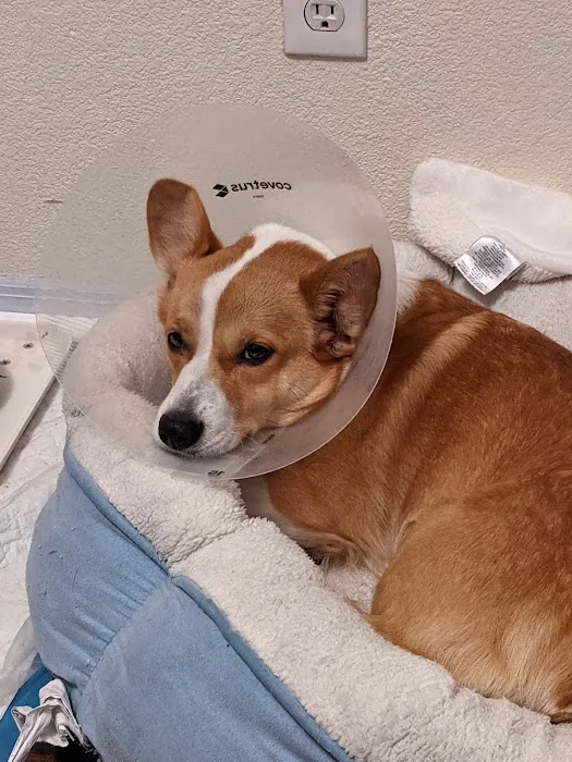 The ASPCA Los Angeles Spay/Neuter Clinic Picture 7