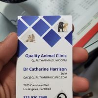 Quality Animal Clinic ico