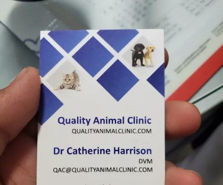 Quality Animal Clinic