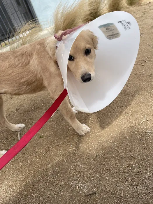 Quality Animal Clinic Picture 4