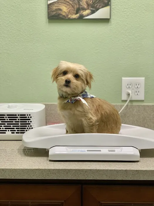Quality Animal Clinic Picture 9