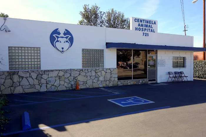 Centinela Animal Hospital Picture 3
