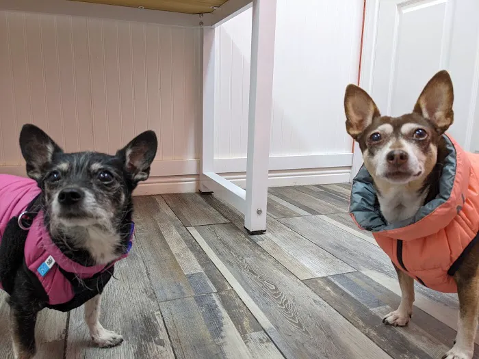 Ladera Pet Clinic Picture 1