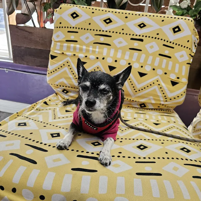 Ladera Pet Clinic Picture 2