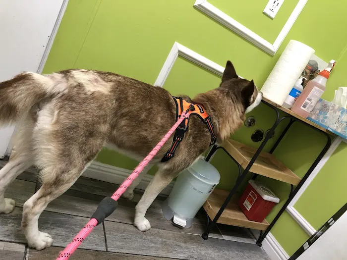 Ladera Pet Clinic Picture 4