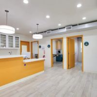 Larchmont Village Vet ico