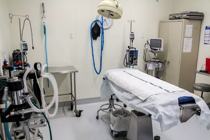 VCA Miller-Robertson Animal Hospital Picture 1