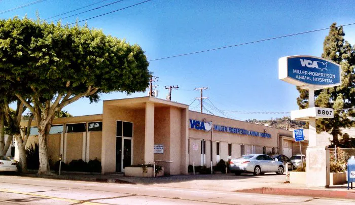 VCA Miller-Robertson Animal Hospital Picture 2