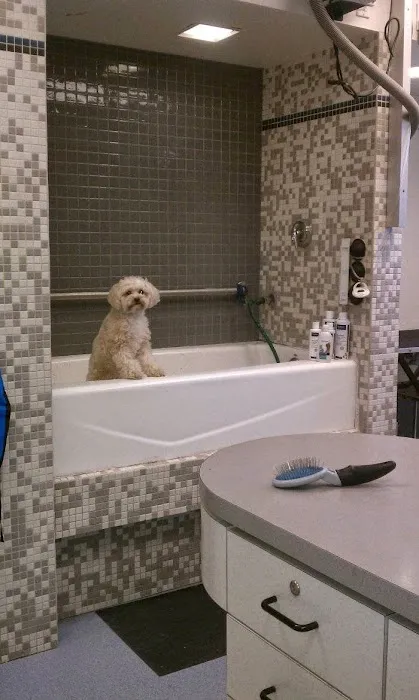VCA Miller-Robertson Animal Hospital Picture 5