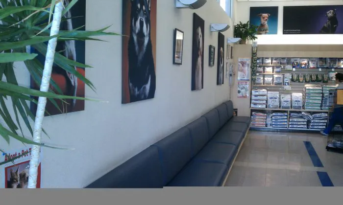 VCA Miller-Robertson Animal Hospital Picture 4